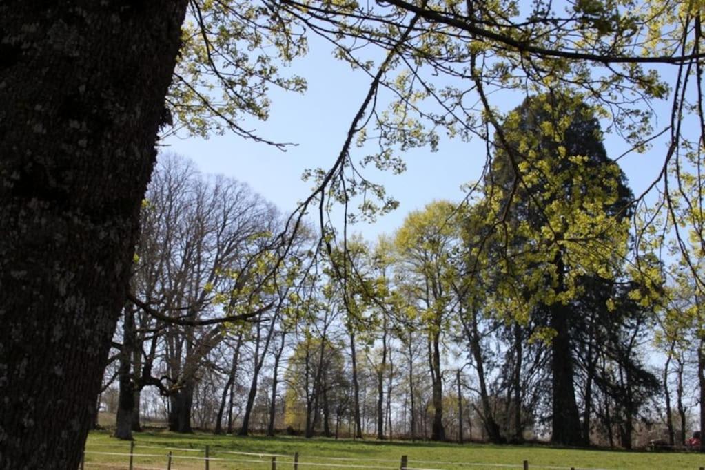 Les gîtes de Recoleine Nébouzat Exterior foto